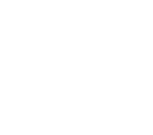 Dr Daiana Baragan 5 elucell logo